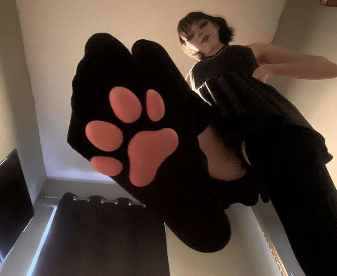 Paw socks deals